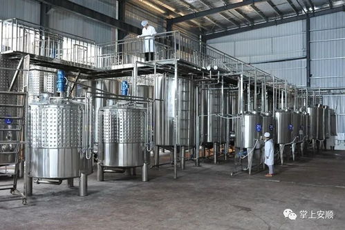 金灿灿的果实奏响绿色发展乐章——安顺金刺梨产业发展综述与除尘技术装备制造的协同之路